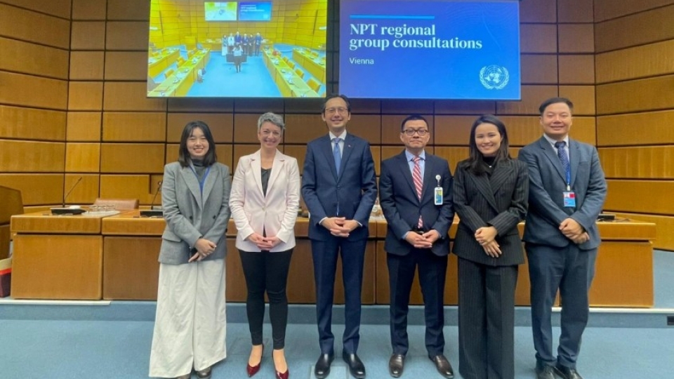 Vietnam consults on Nuclear Non Proliferation Treaty Review Conference